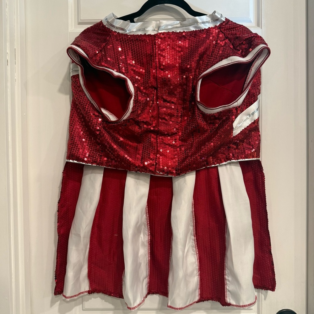 Maggie Waggy Sequin Cheerleader Dog Costume | XXL | New With Tags - Picture 6 of 10